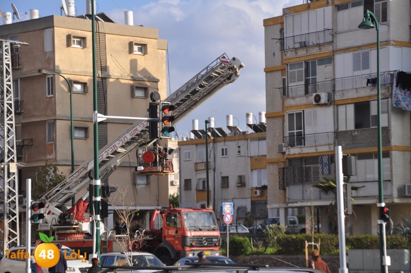 jotha kazeb 0227 (2).JPG